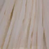 Cream hand embroidery with mukaish work pure Organza saree