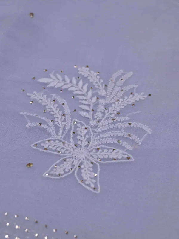 Sky Blue hand embroidery with mukaish work pure Organza saree