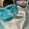 Cyan blue body with golden zari Organza silk saree
