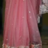 Baby Pink pure Organza Gara embroidery cut work border saree