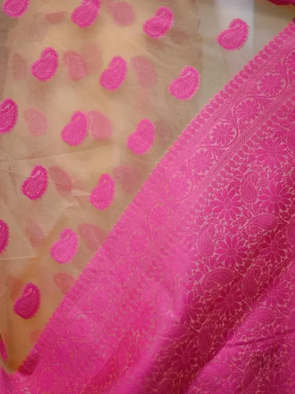Biscuit on Pink Border and Kalka work Silk Saree