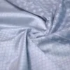 Grey on silver stripe and butta work Silk Saree