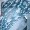 Sea Green on Silver Jangla Jaal work Silk Saree