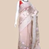 Peach on Multicolor Thread Stitch and Chikankari Border work organza Saree