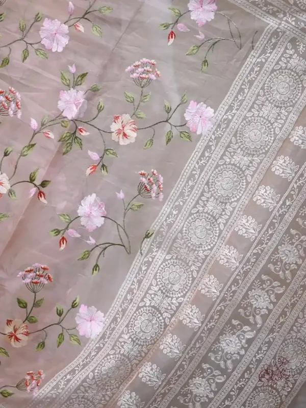 Peach on Multicolor Thread Stitch and Chikankari Border work organza Saree