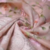 Peach on Multicolor Thread Stitch and Chikankari Border work organza Saree
