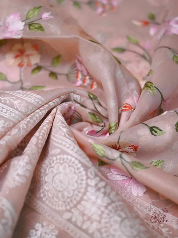 Peach on Multicolor Thread Stitch and Chikankari Border work organza Saree