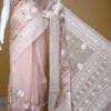 Peach on Multicolor Thread Stitch and Chikankari Border work organza Saree