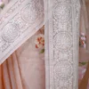 Peach on Multicolor Thread Stitch and Chikankari Border work organza Saree