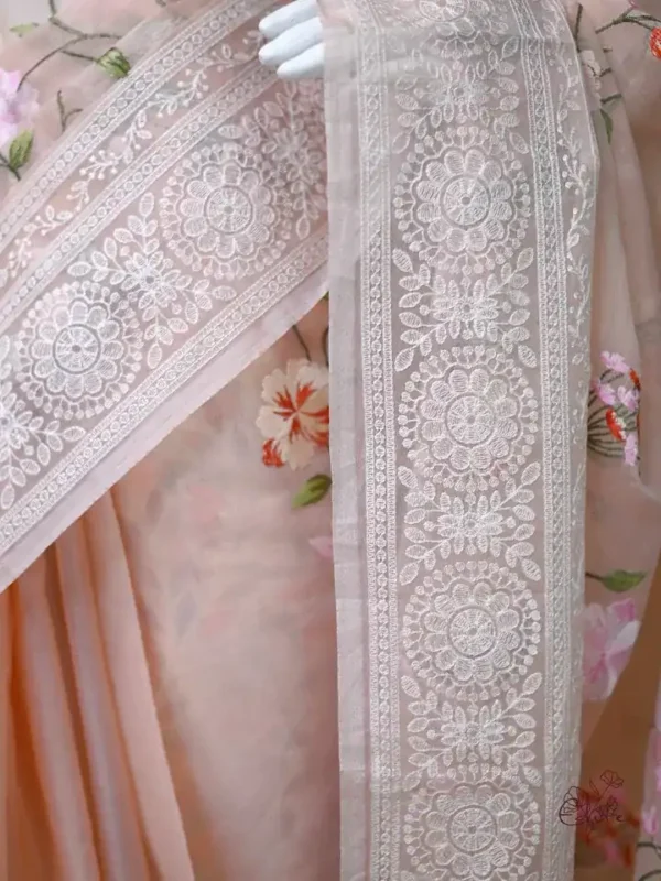 Peach on Multicolor Thread Stitch and Chikankari Border work organza Saree