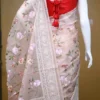 Peach on Multicolor Thread Stitch and Chikankari Border work organza Saree