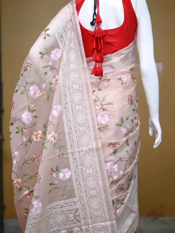 Peach on Multicolor Thread Stitch and Chikankari Border work organza Saree