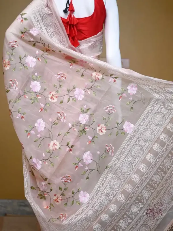Peach on Multicolor Thread Stitch and Chikankari Border work organza Saree