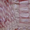 Rust with Silver and Golden zari border n Strip on Tissue silk saree