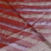Rust with Silver and Golden zari border n Strip on Tissue silk saree