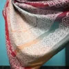 Biscuit on white Gujrati mirror stitch work on Gachhi Tussar silk saree