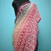 Biscuit on white Gujrati mirror stitch work on Gachhi Tussar silk saree