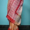 Biscuit on white Gujrati mirror stitch work on Gachhi Tussar silk saree