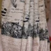 Rabindranath write up embroidery Border Biscuit Tussar Silk Saree