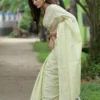 Sherbet lime Handloom resham border Tussel on Tissue Khadi Saree