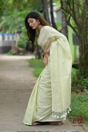 Sherbet lime Handloom resham border Tussel on Tissue Khadi Saree