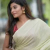 Sherbet lime Handloom resham border Tussel on Tissue Khadi Saree