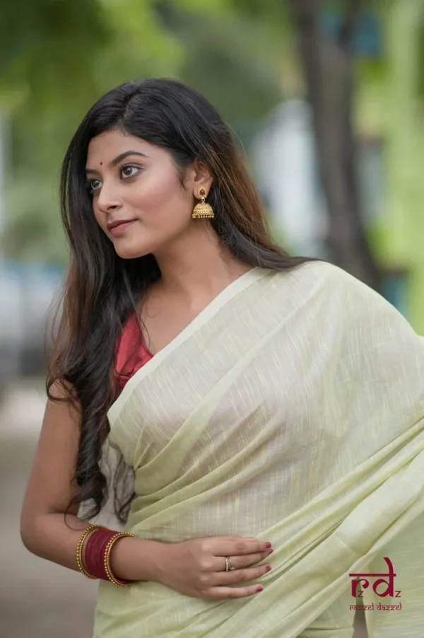 Sherbet lime Handloom resham border Tussel on Tissue Khadi Saree