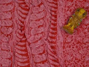 Scarlet Georgette Chikankari Saree