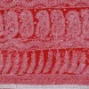 Scarlet Georgette Chikankari Saree
