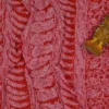 Scarlet Georgette Chikankari Saree