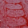 Scarlet Georgette Chikankari Saree