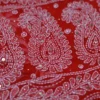 Scarlet Georgette Chikankari Saree