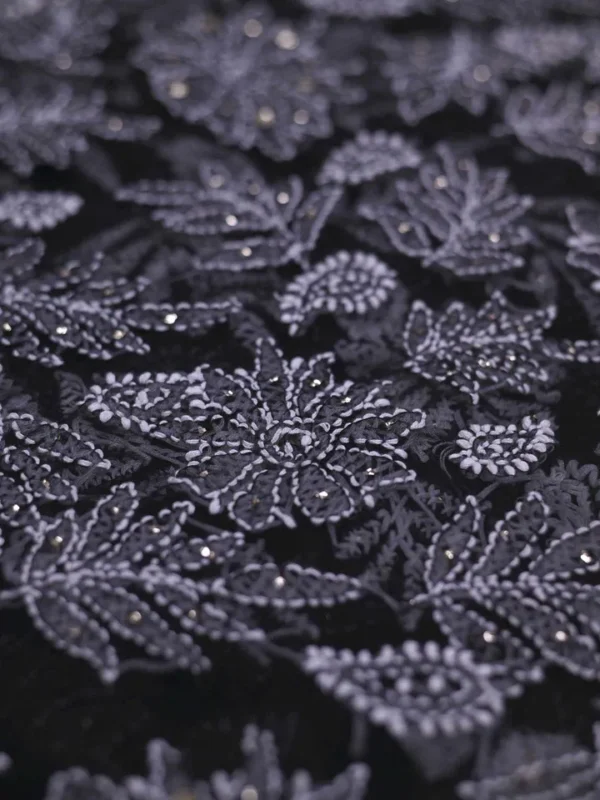 Black Georgette Lucknowi Chikankari Saree