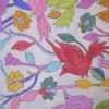 Off White on Multicolor Bird Bengal Kantha Embroidery Tussar Silk Handloom stole