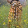Mustard yellow with Black n White Pure Resham silk Soft Jamdani saree