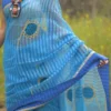 Sky Blue with Hand Fan Applique work Cotton Kota saree