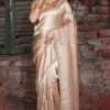 Soft Brown Contemporary Saree with Designer Stone Work | 2025 Festive Collection