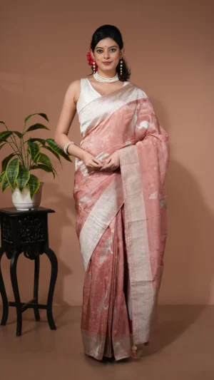 Coral Pink Contemporary Designer Organza Saree with Zari Border | 2025 Winter Festive