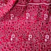 Abstract Red Kantha Embroidered Bangalore Silk Saree